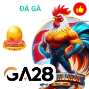 9bet Game 07